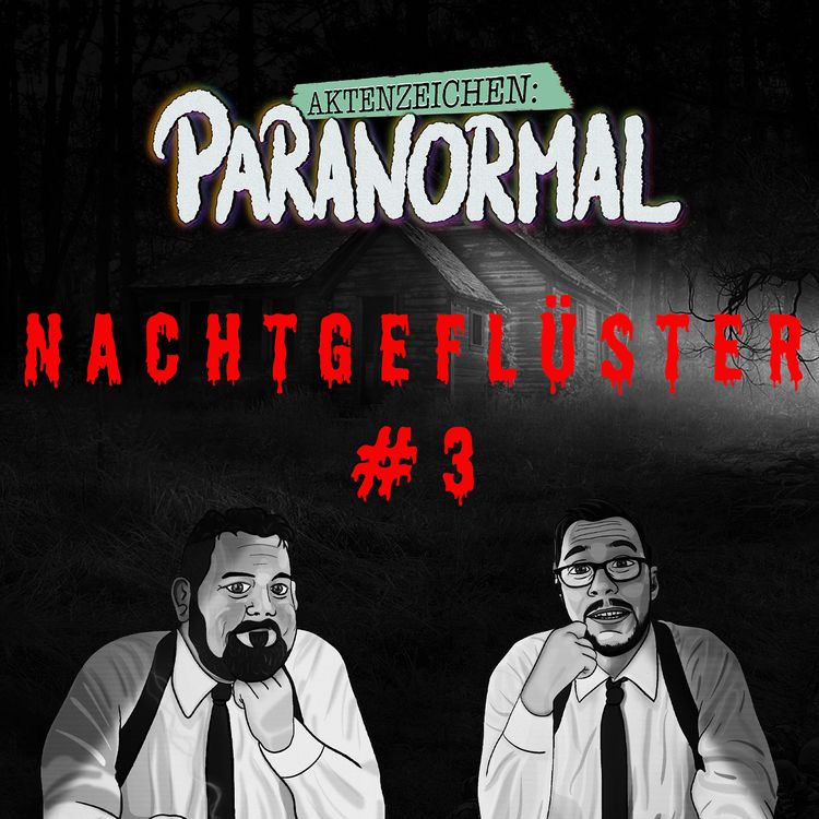 cover art for Aktenzeichen Nachtgeflüster #3 Hörererlebnis von Paul