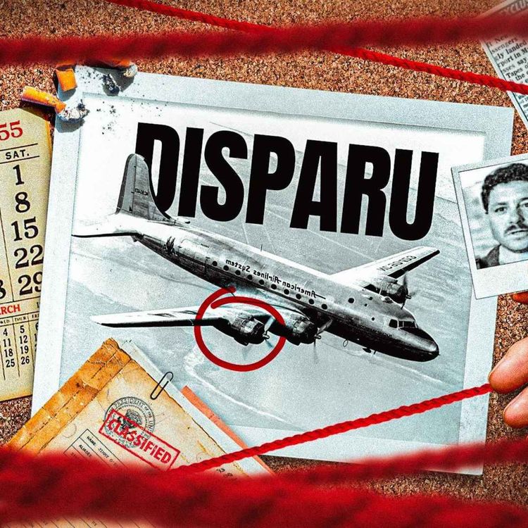 cover art for L’histoire de l’avion disparu qui a atterri 37 ans plus tard