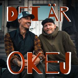 cover art for DET ÄR OKEJ