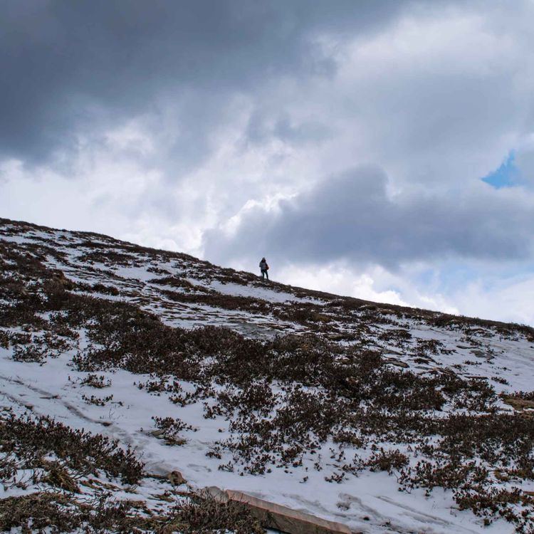 cover art for 92. Vain yksi selviää