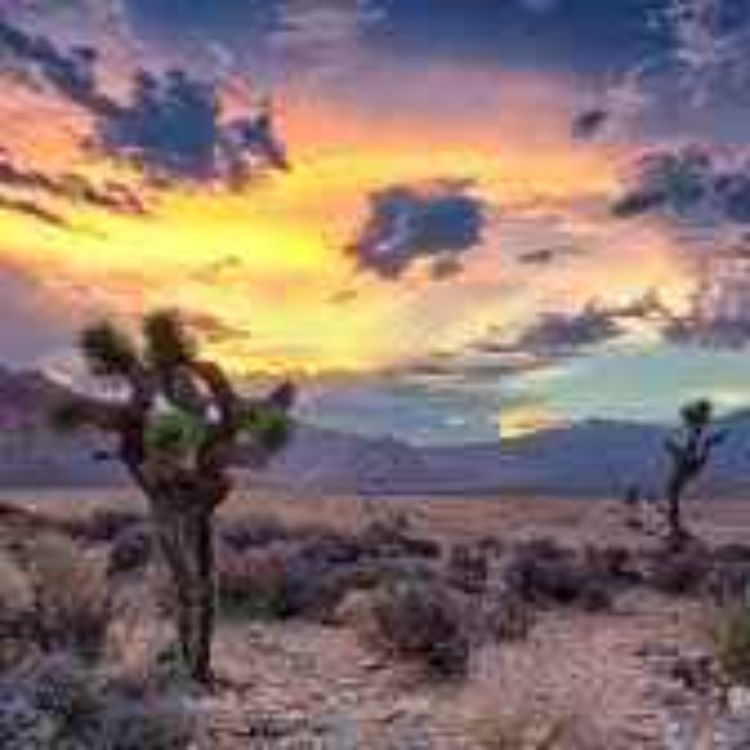 cover art for 110. Aavikko säilyttää salaisuutensa