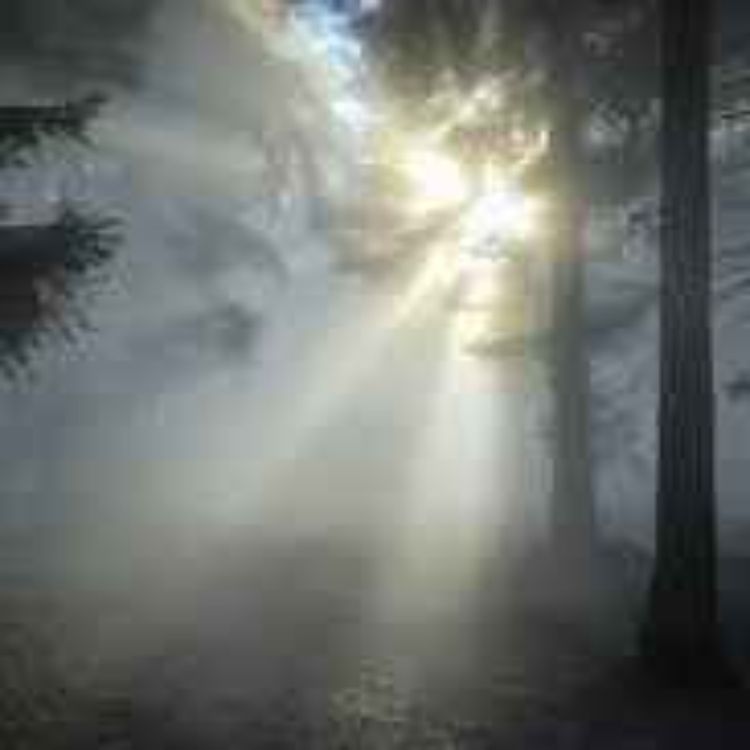 cover art for 113. Hän on poissa