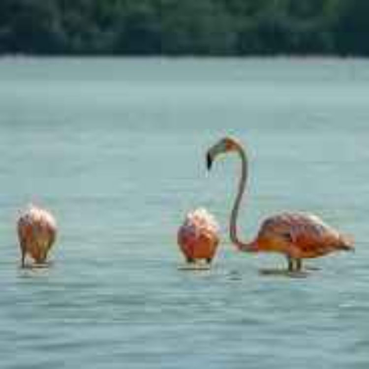 cover art for 124. Avainten kilinää