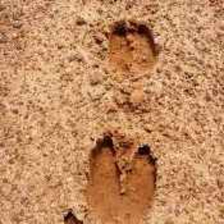 cover art for 125. Paholaisen jalanjäljet