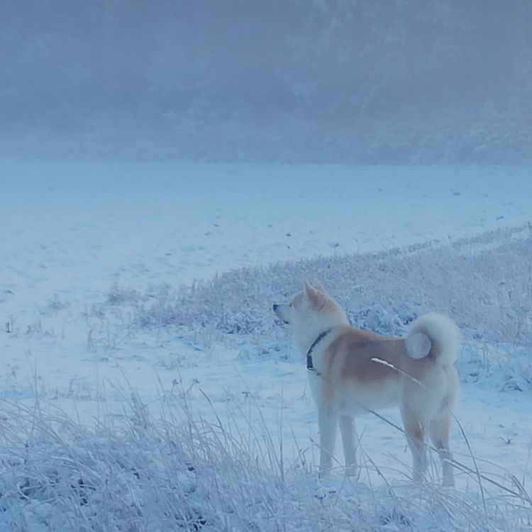 cover art for 131. Ikuinen ystävä