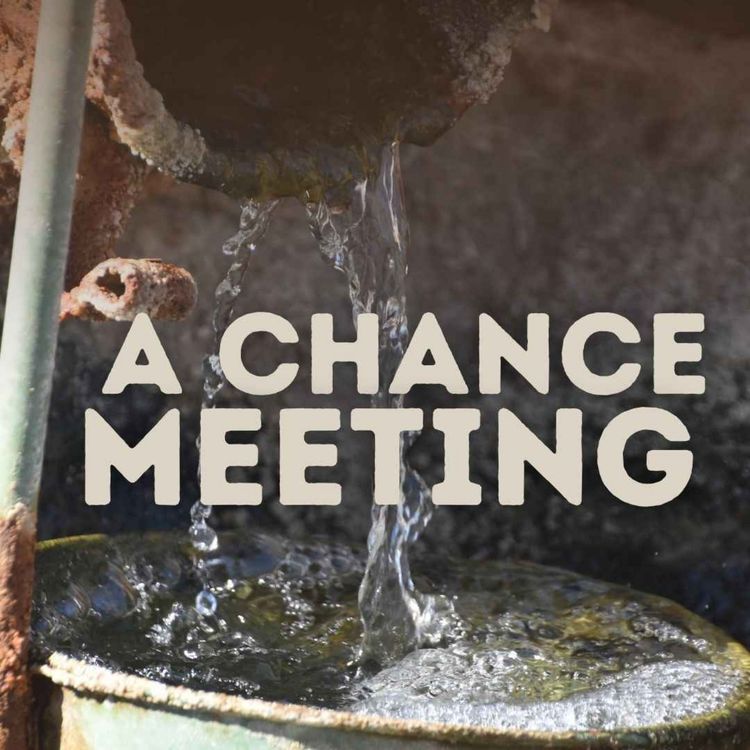 cover art for A Chance Meeting