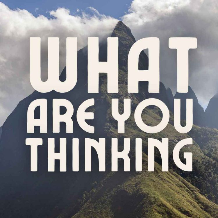 cover art for What Are You Thinking?