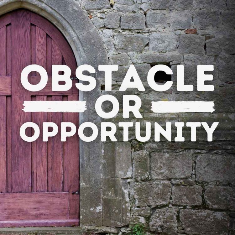 cover art for Obstacle or Opportunity