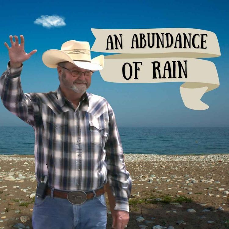 cover art for An Abundance of Rain