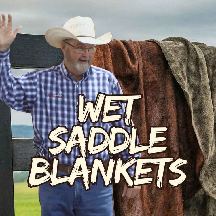 cover art for Wet Saddle Blankets
