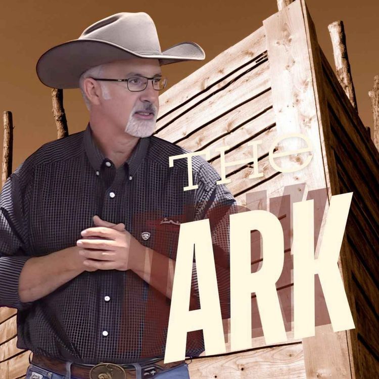 cover art for The Ark