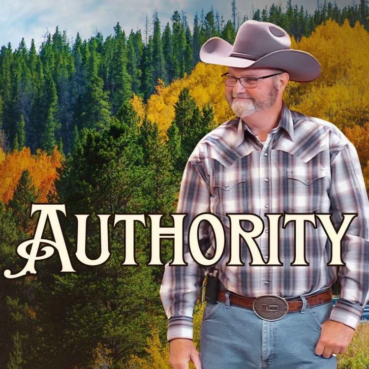 cover art for Authority