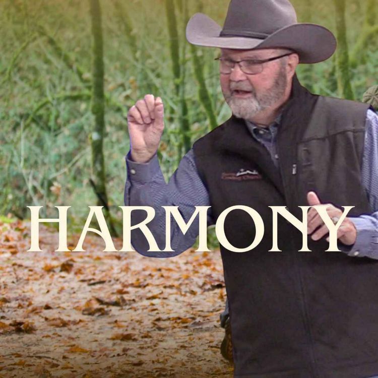 cover art for Harmony