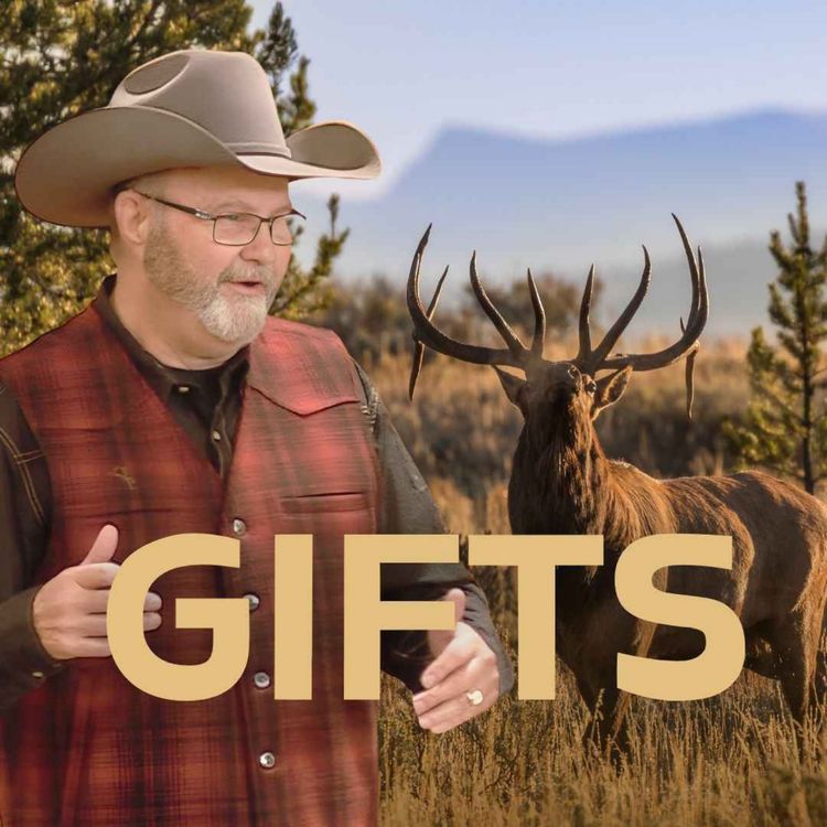 cover art for Gifts