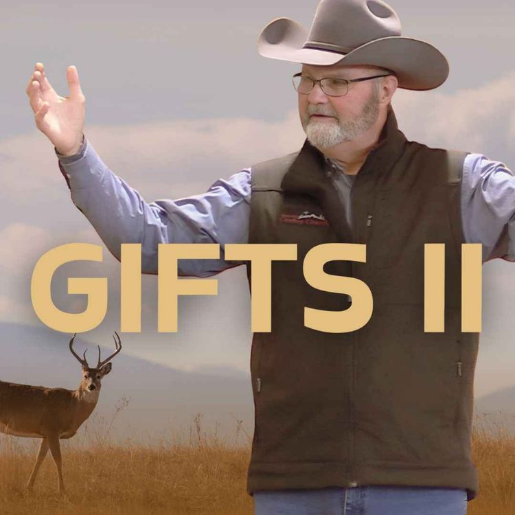 cover art for Gifts II