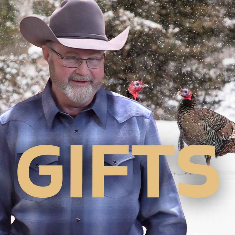cover art for Gifts IV