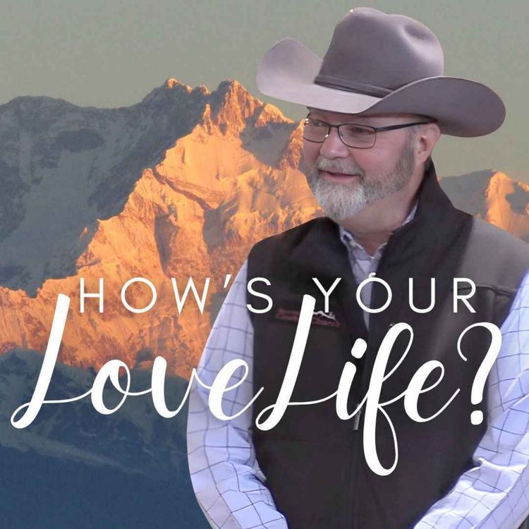cover art for How's Your Love Life?
