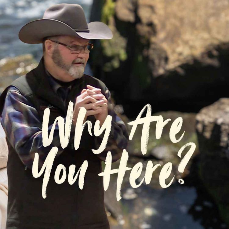 cover art for Why Are You Here?