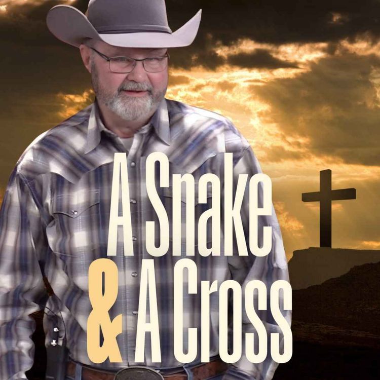 cover art for A Snake and A Cross