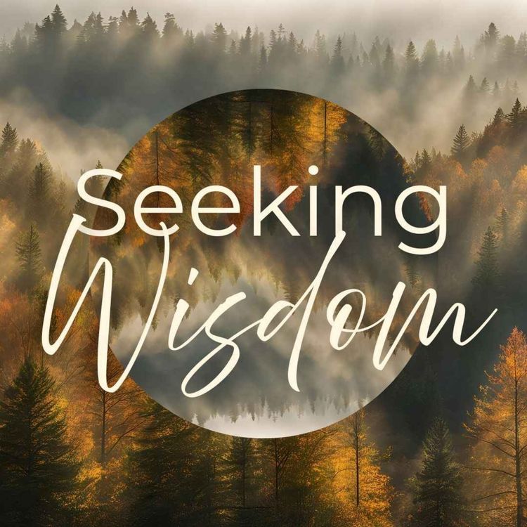 cover art for Seeking Wisdom