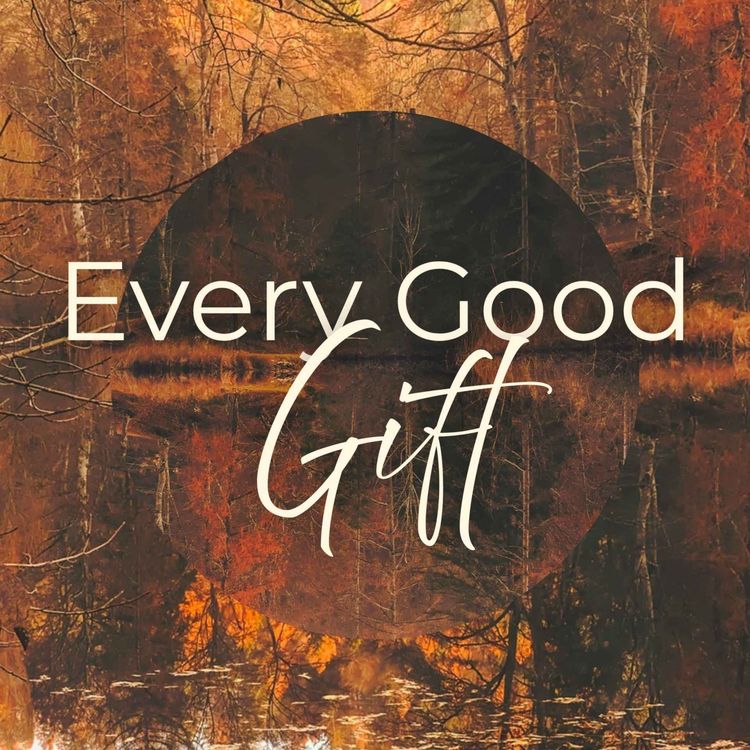 cover art for Every Good Gift