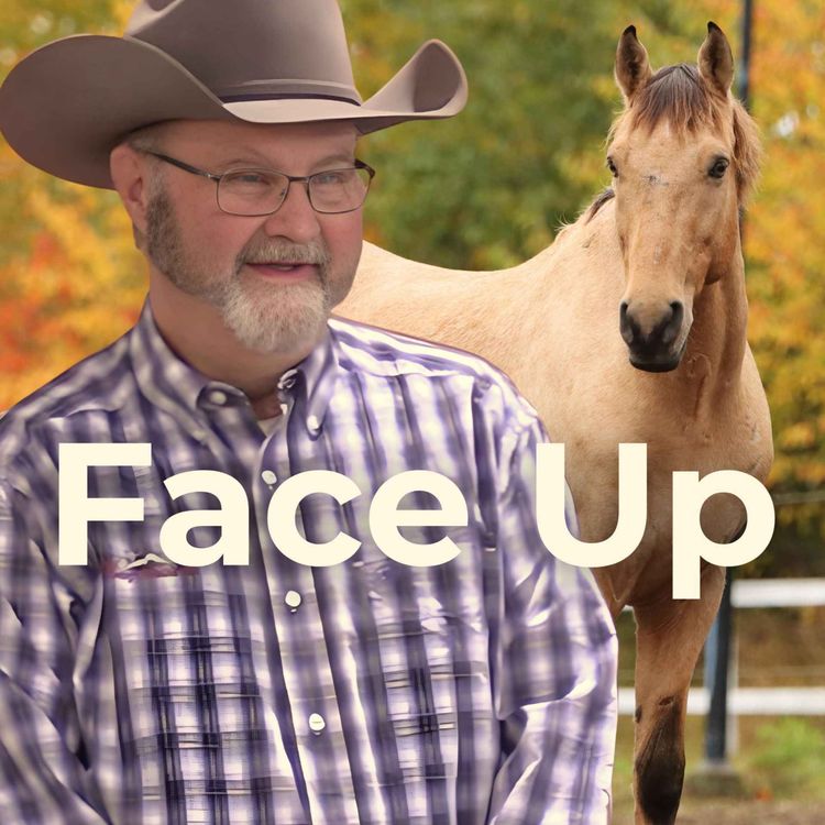 cover art for Face Up