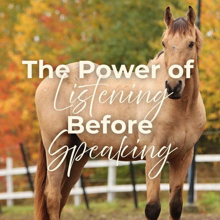 cover art for The Power of Listening Before Speaking