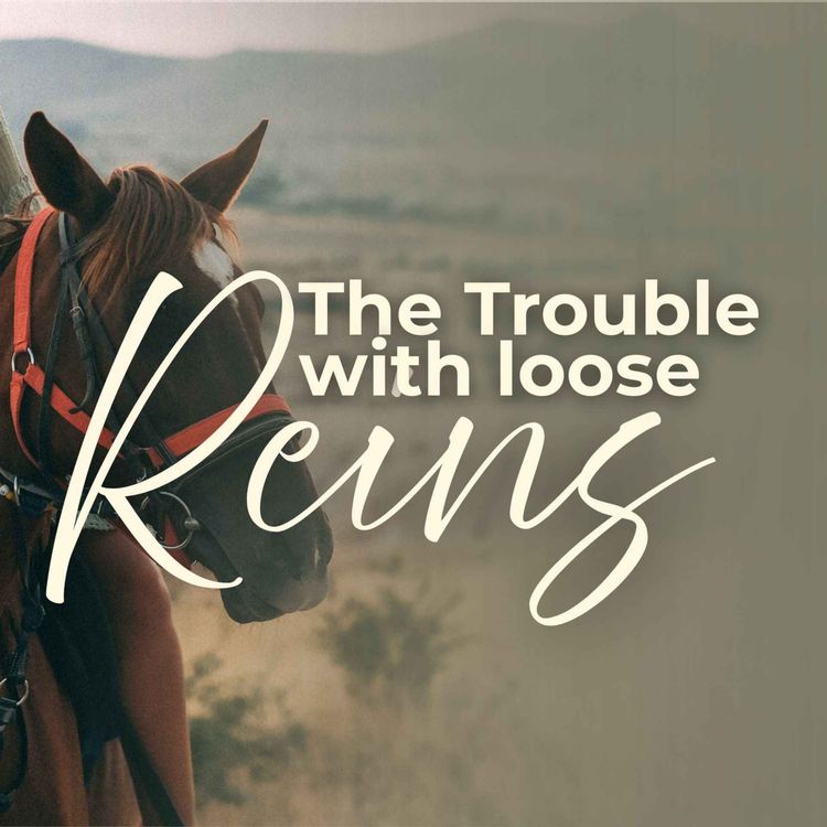 cover art for The Trouble with Loose Reins