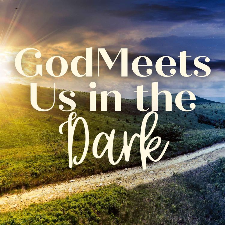 cover art for God Meets Us in the Dark