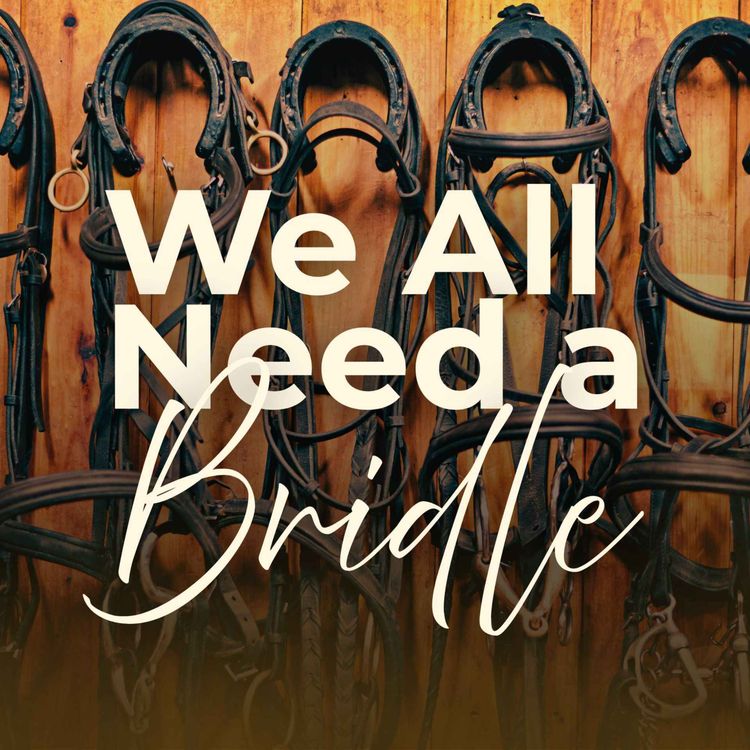 cover art for We All Need a Bridle