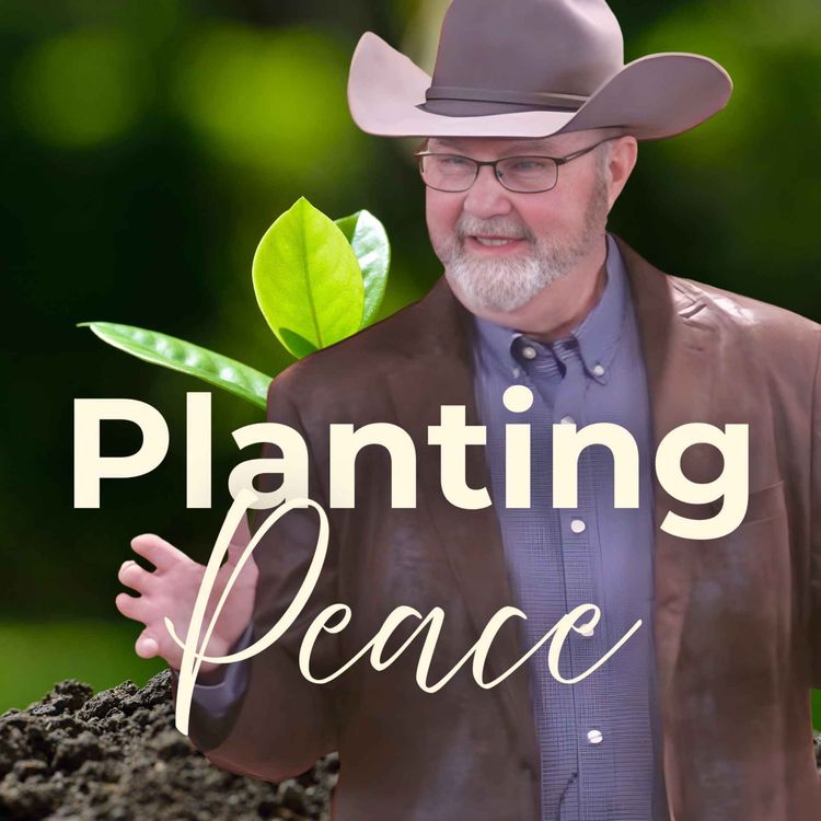 cover art for Planting Peace