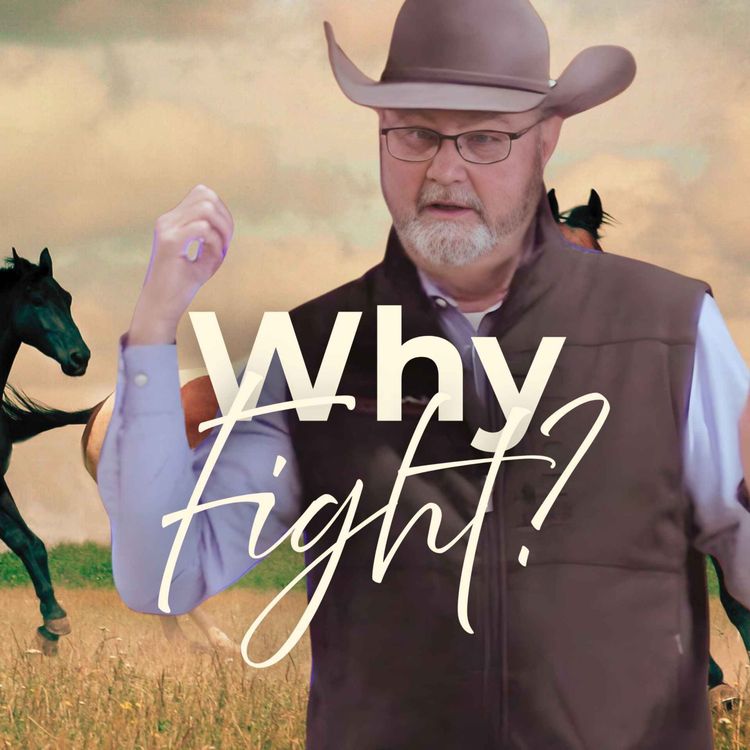 cover art for Why Fight?