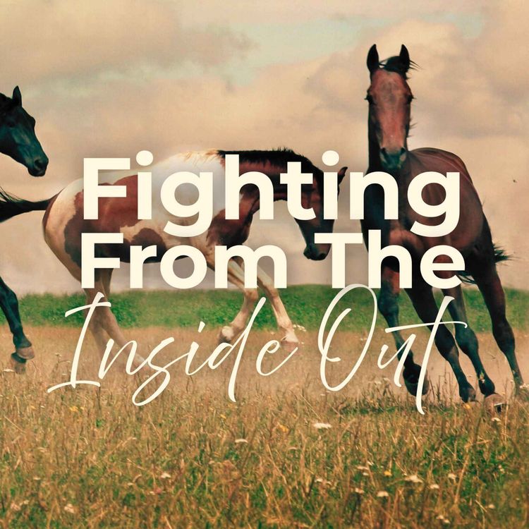 cover art for Fighting From the Inside Out