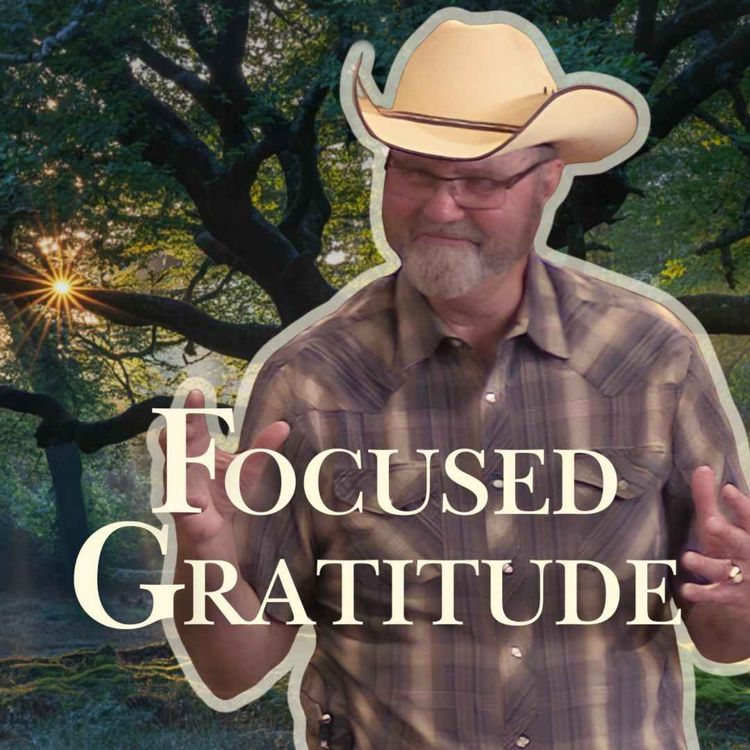 cover art for Focused Gratitude