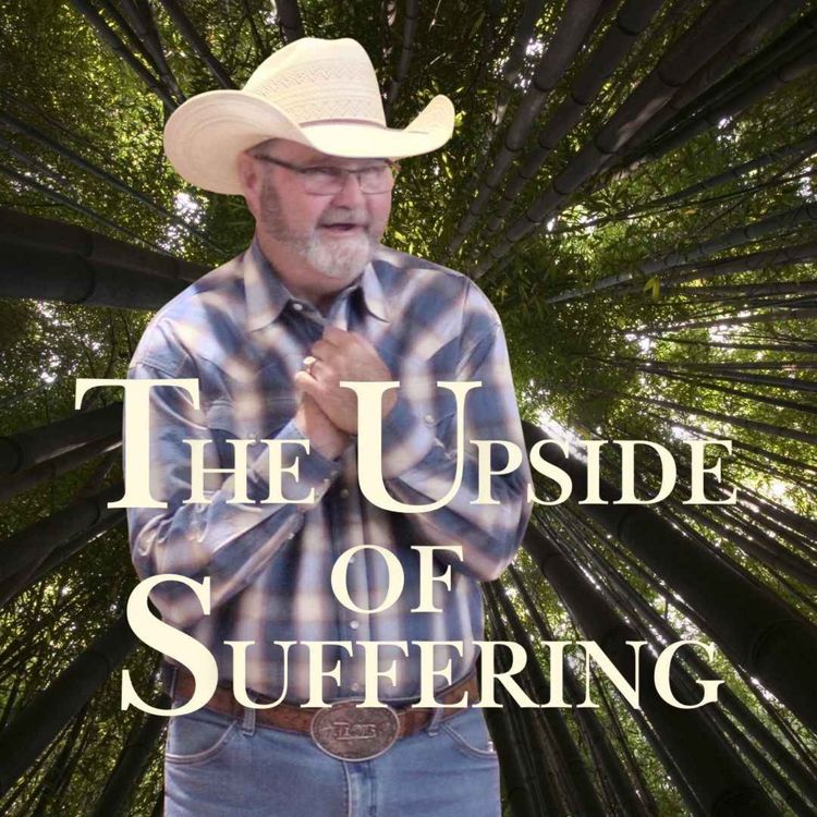 cover art for The Upside to Suffering