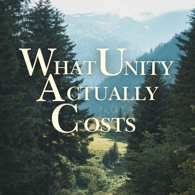 cover art for What Unity Actually Costs