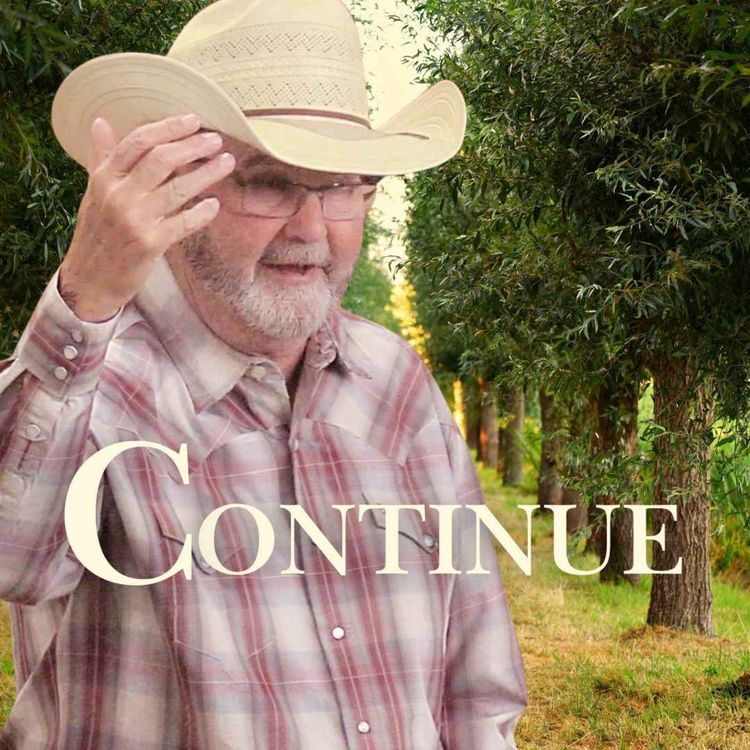 cover art for Continue