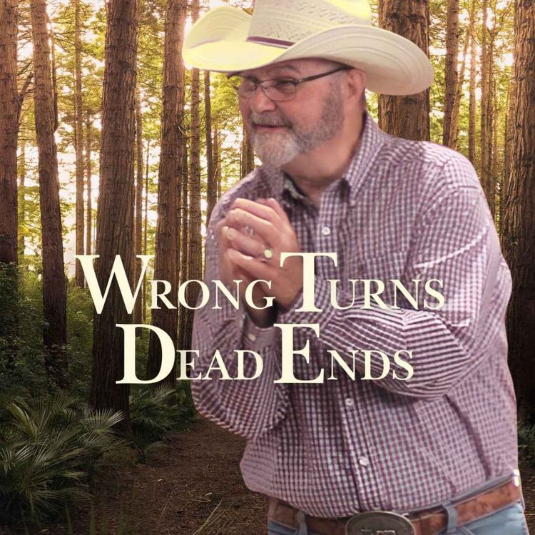 cover art for Wrong Turns, Dead Ends