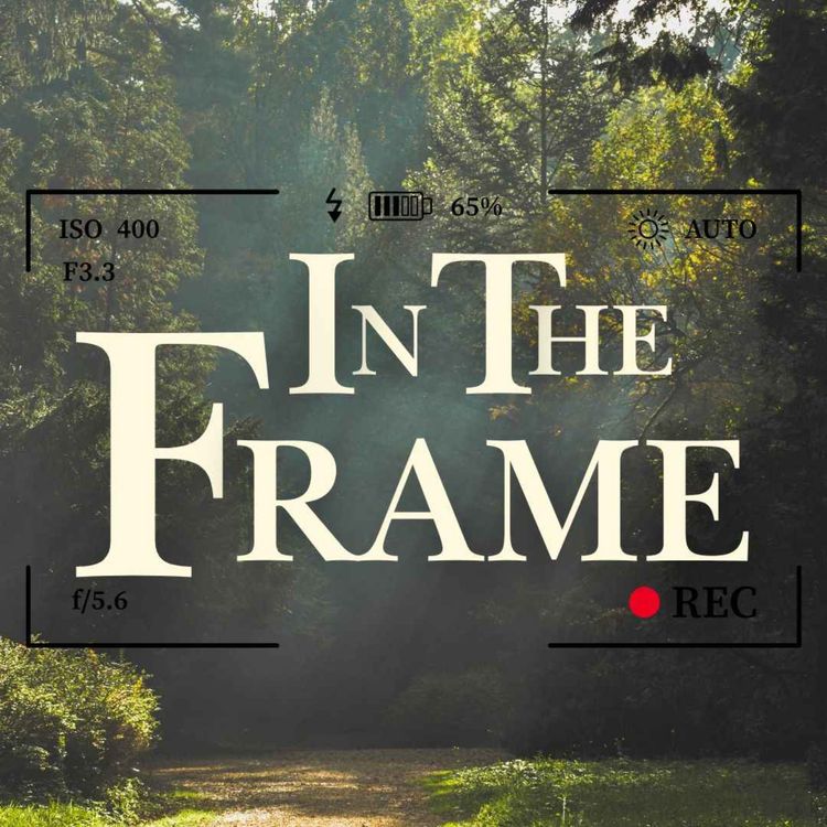 cover art for In The Frame
