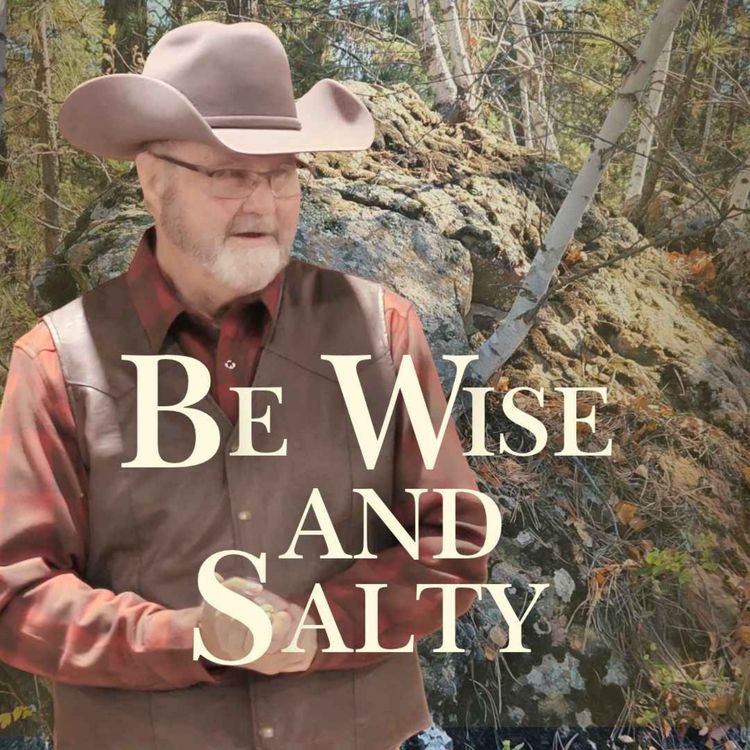 cover art for Be Wise and Salty