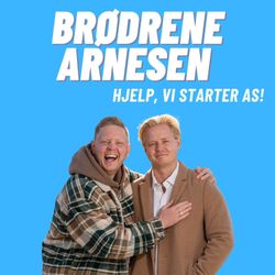 cover art for Brødrene Arnesen