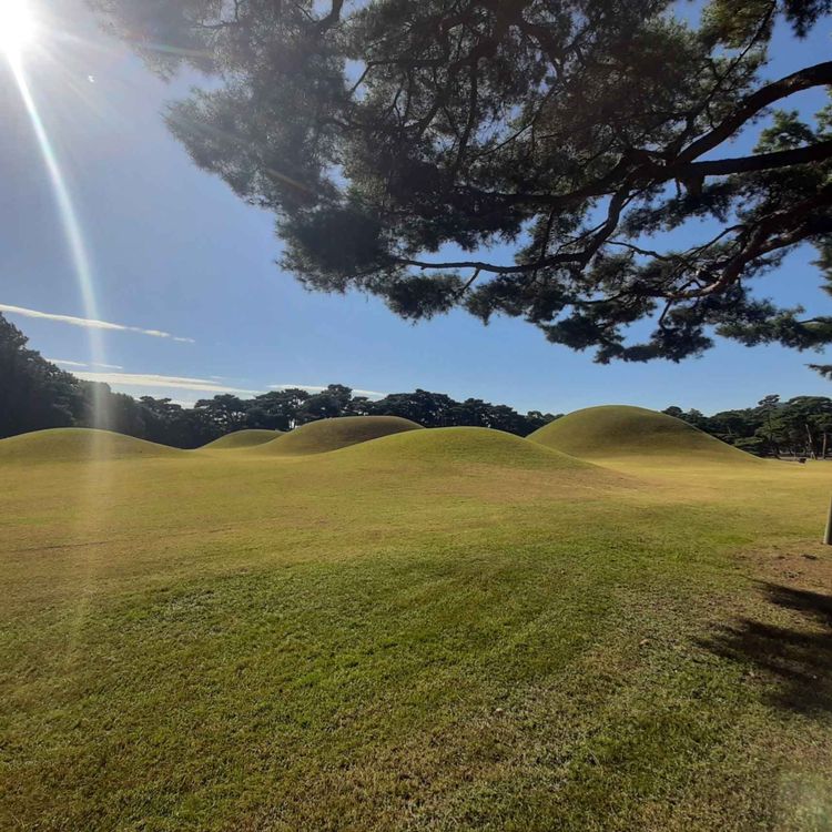 cover art for Oreung Royal Tombs, place c, & Invention Experience Education Center