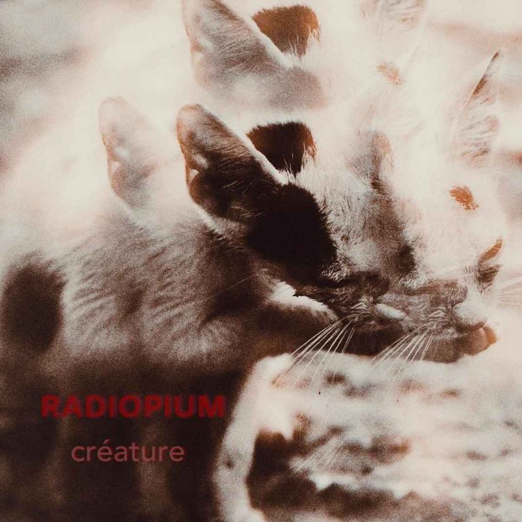 cover art for Créature