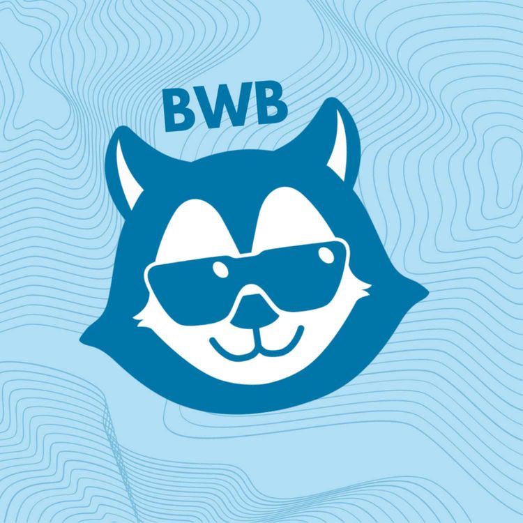 cover art for Life as a Level II Transfer!