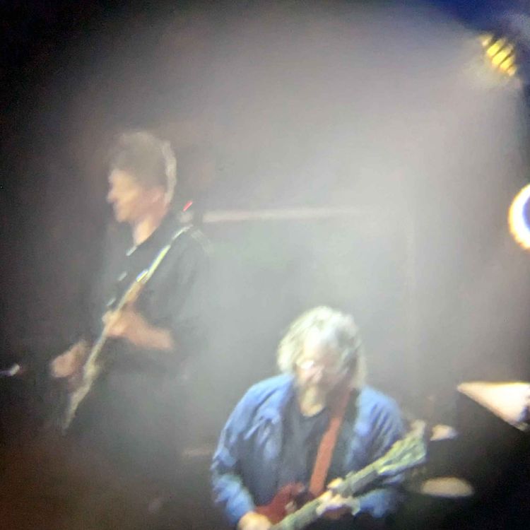 cover art for Hostas: The Wilco of Plants