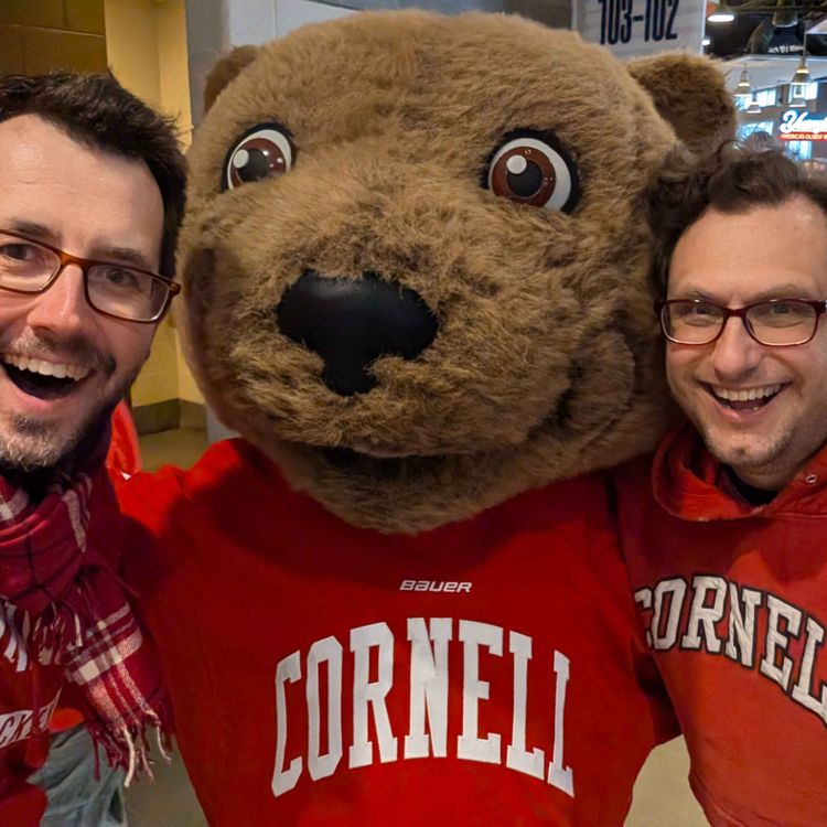 cover art for Fatherhood and Gary Bettman