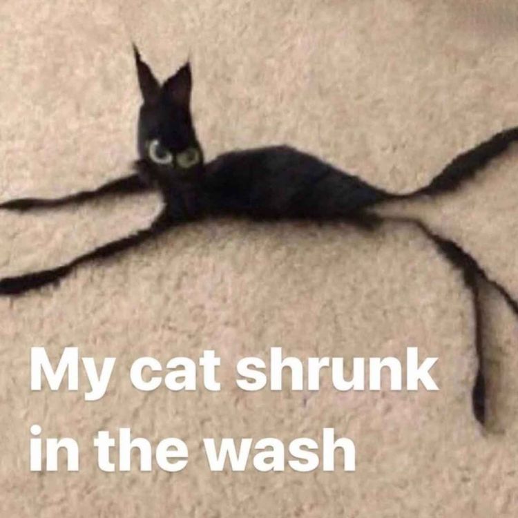 cover art for In 1 year.