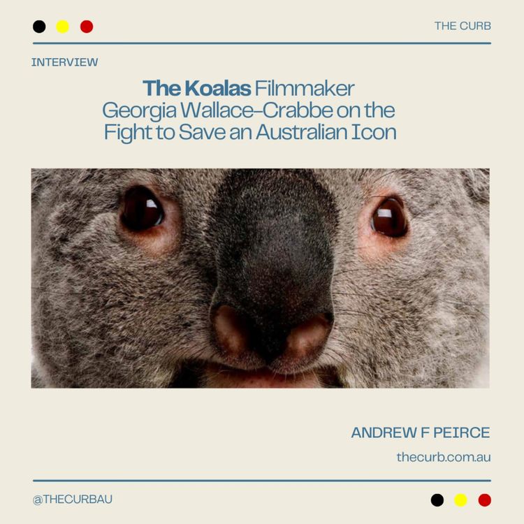 cover art for The Koalas Filmmaker Georgia Wallace-Crabbe on the Fight to Save an Australian Icon