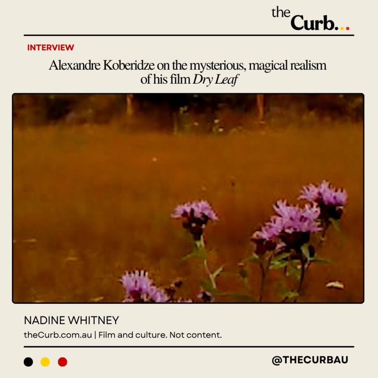 cover art for Alexandre Koberidze on the mysterious, magical realism of his film Dry Leaf