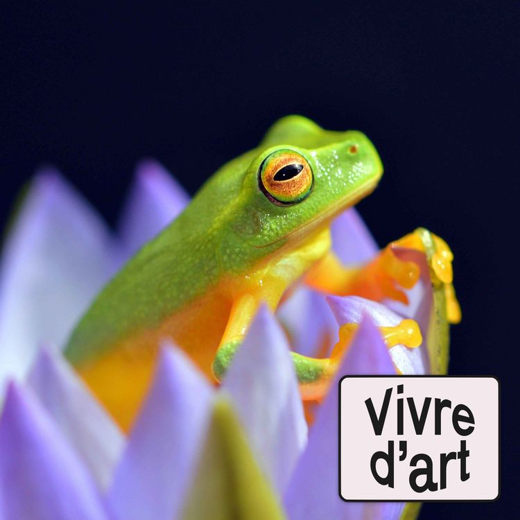 cover art for La vie de ma grand-mère